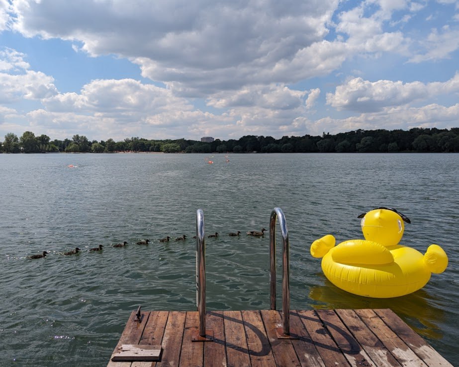 День резиновой уточки 2025